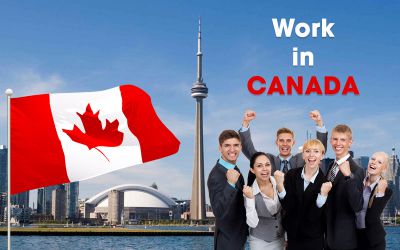 STUDY IN CANADA SHOULD CHOOSE ANY SECTOR TO IMMIGRATELY?