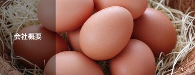 TBĐH -  5 Nam Nông nghiệp chăn nuôi  T11.2025